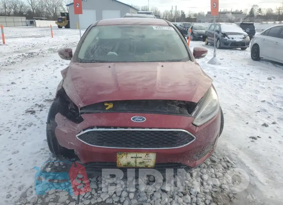 1FADP3F20GL229347 Photo# 5
