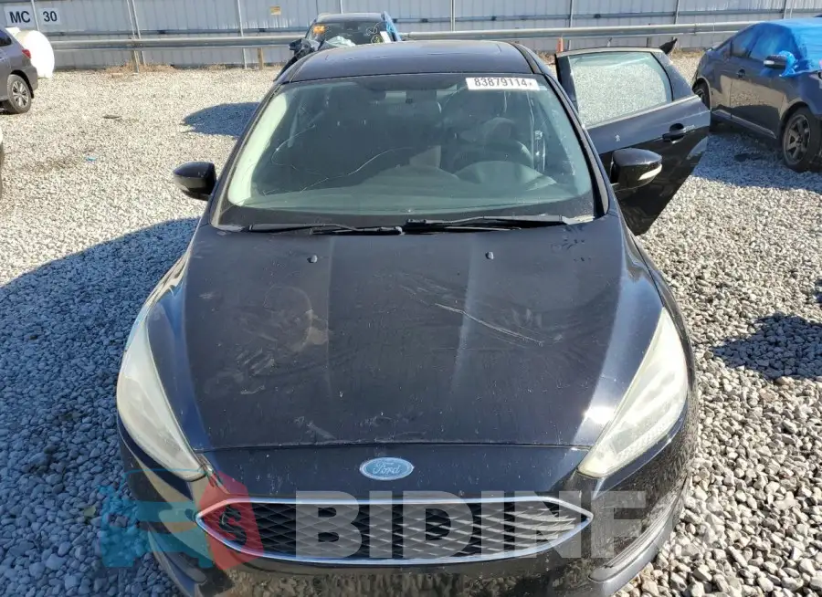 1FADP3F20GL264146 Photo# 5