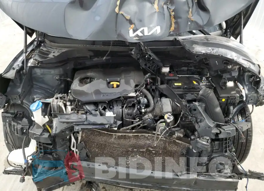 KNDJ23AU8N7809522 Photo# 12