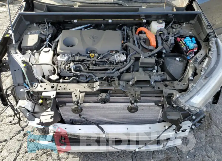 JTMMWRFVXRD264954 Photo# 12