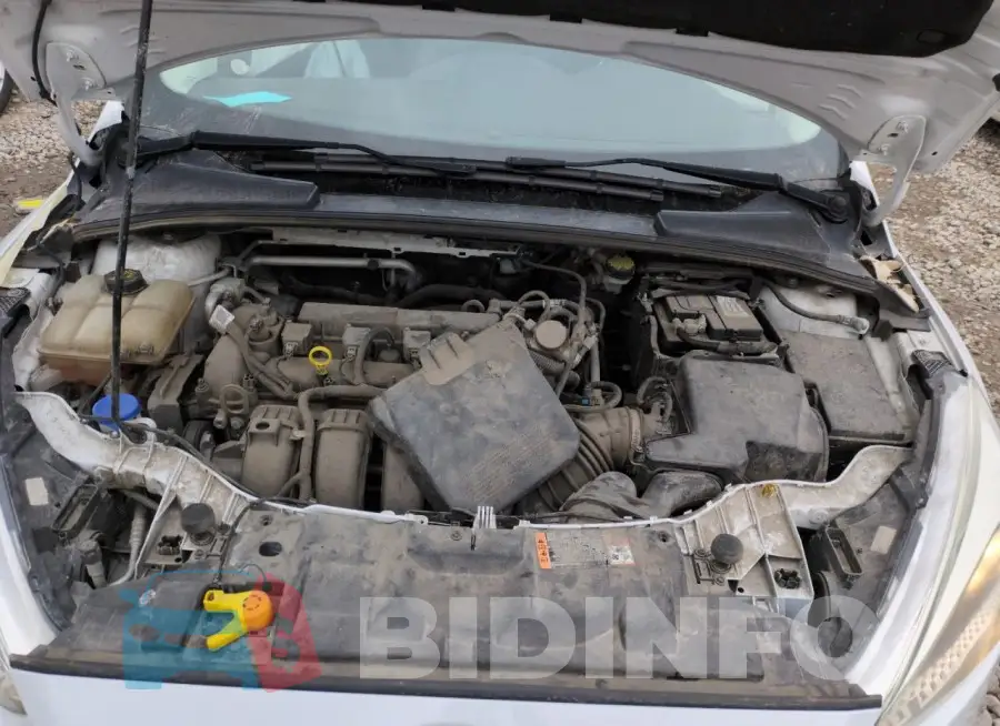 1FADP3E29GL372461 Photo# 11