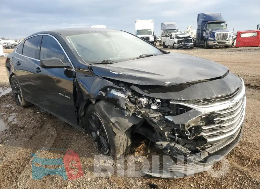 1G1ZD5ST5LF043890 Photo# 4