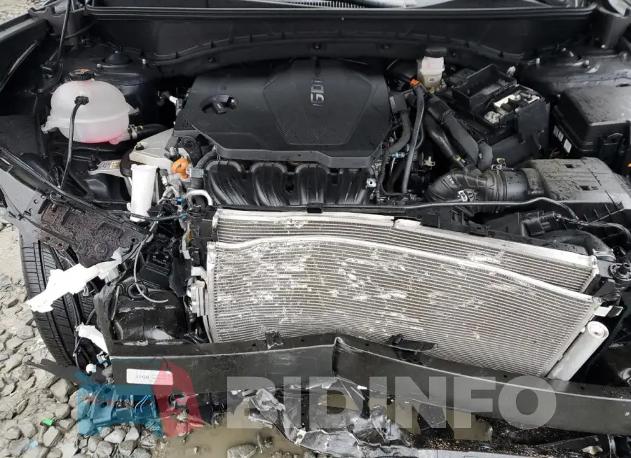 5NMJFCAE0PH162252 Photo# 11