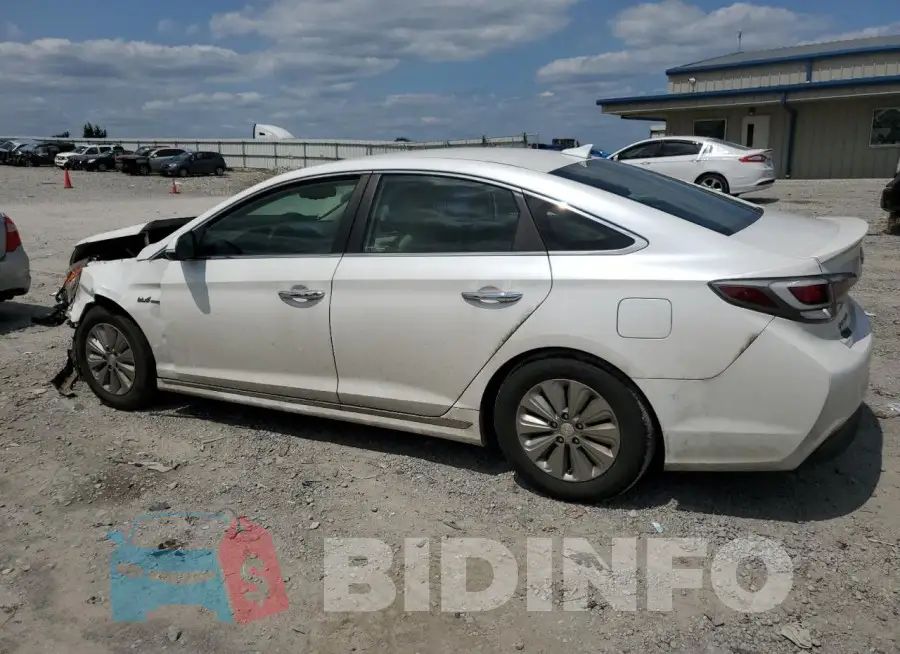 KMHE24L18GA020234 Photo# 2