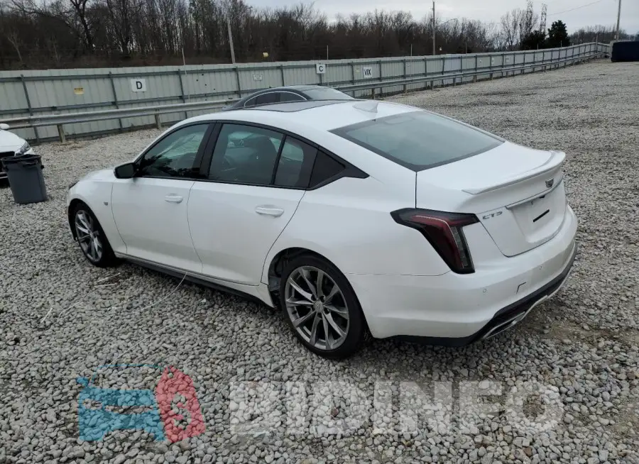 1G6DP5RK8R0130218 Photo# 2