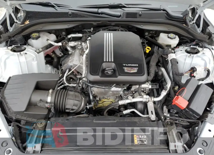1G6DP5RK8R0130218 Photo# 11