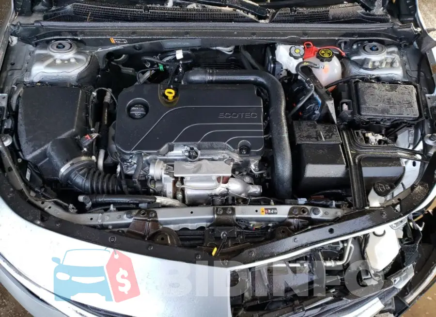 1G1ZD5ST1RF162349 Photo# 11