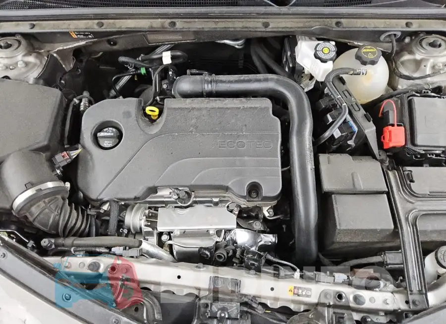 1G1ZD5ST5RF245637 Photo# 11