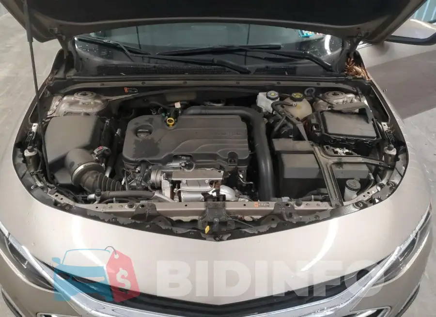 1G1ZD5ST7PF208876 Photo# 11