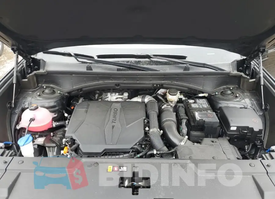 5NMP5DGL4RH019333 Photo# 12