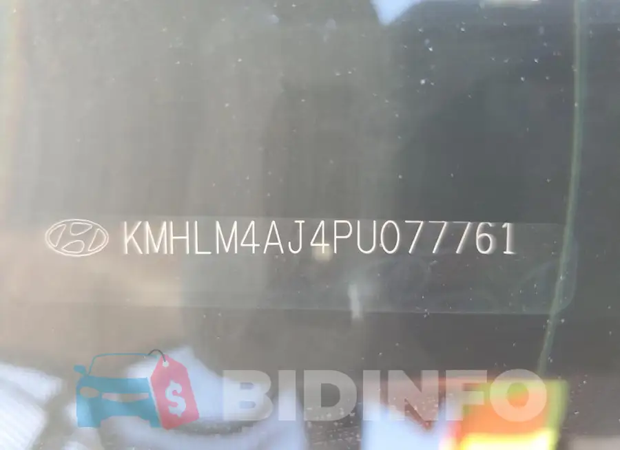 KMHLM4AJ4PU077761 Photo# 12