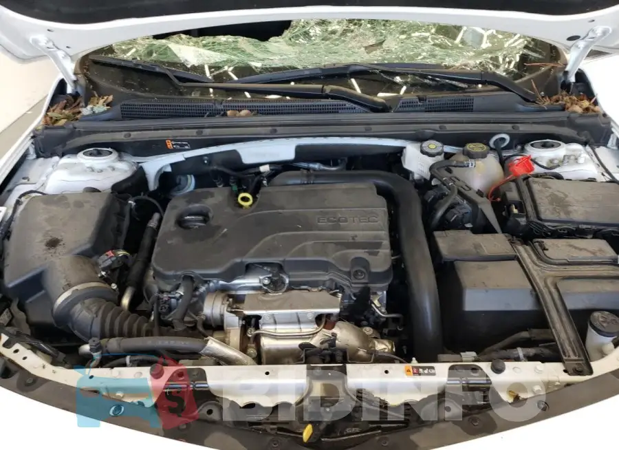 1G1ZD5ST6PF167723 Photo# 11