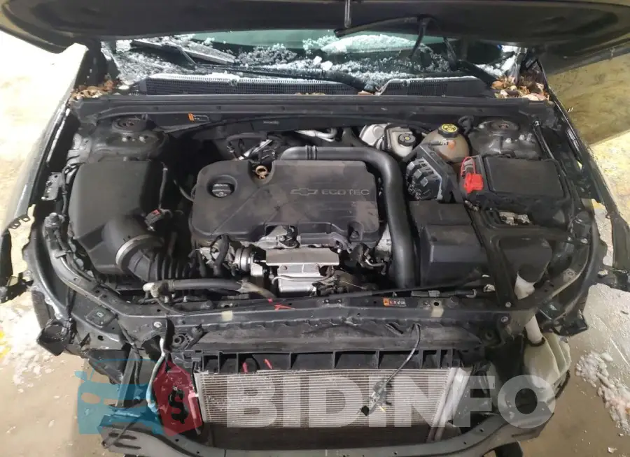 1G1ZE5ST0HF150074 Photo# 11