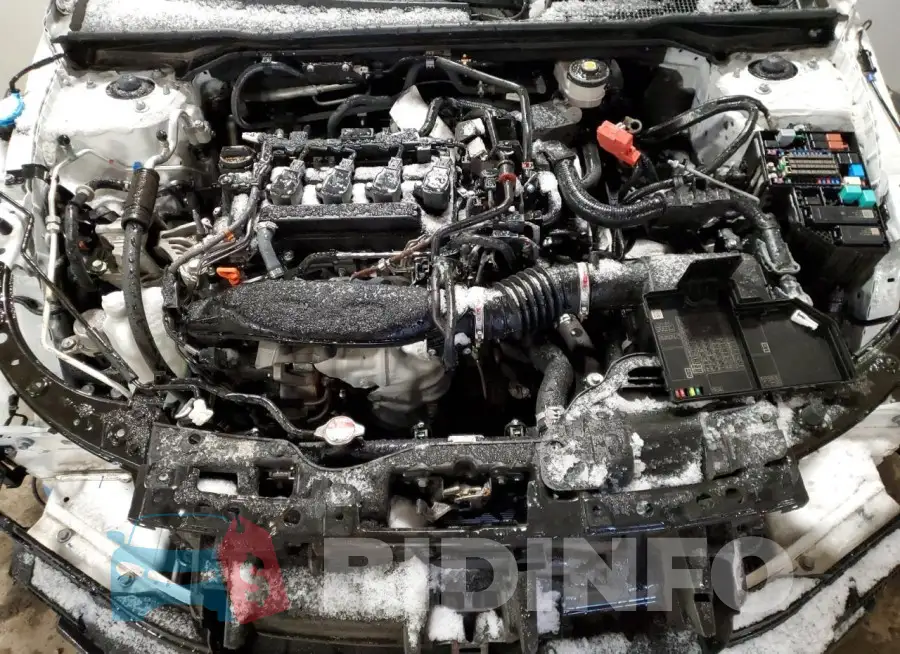 19XFL1H78PE012049 Photo# 11