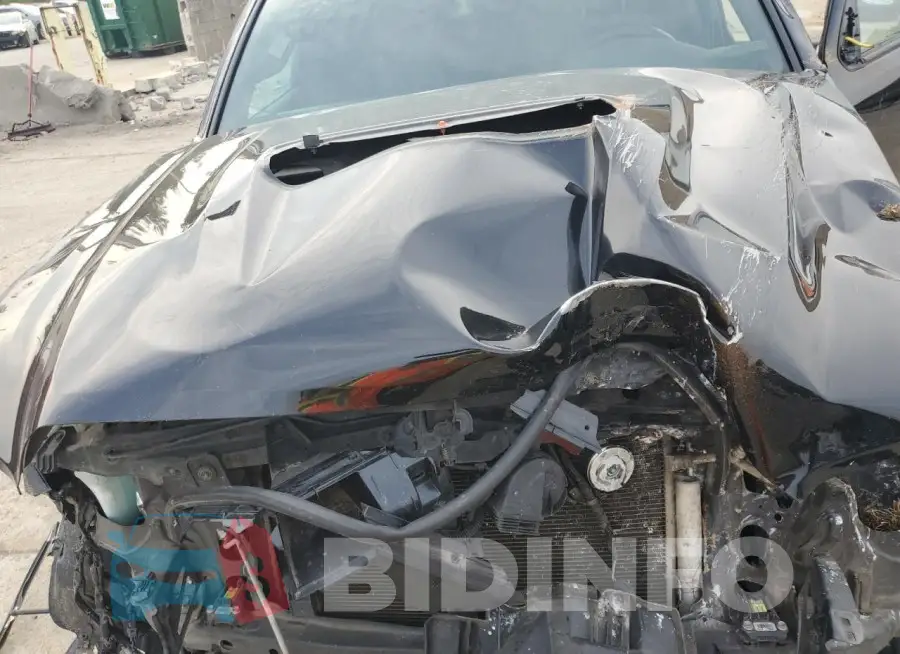3TYCZ5AN4LT007047 Photo# 11