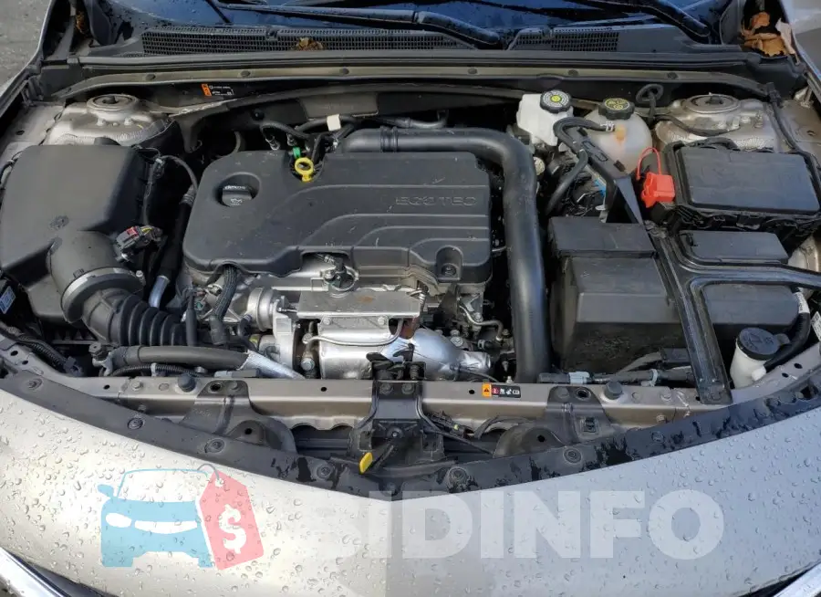 1G1ZD5ST3RF167133 Photo# 11