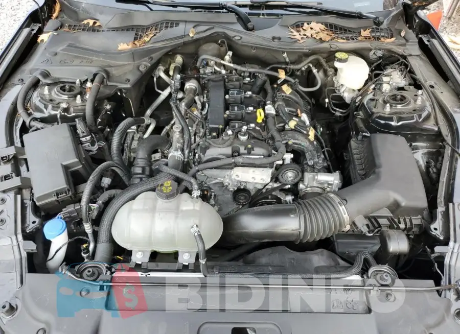 1FA6P8TH5N5121824 Photo# 11