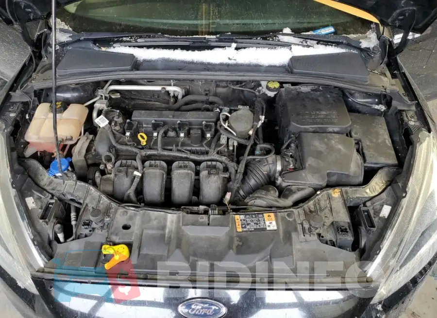1FADP3F29GL312243 Photo# 11