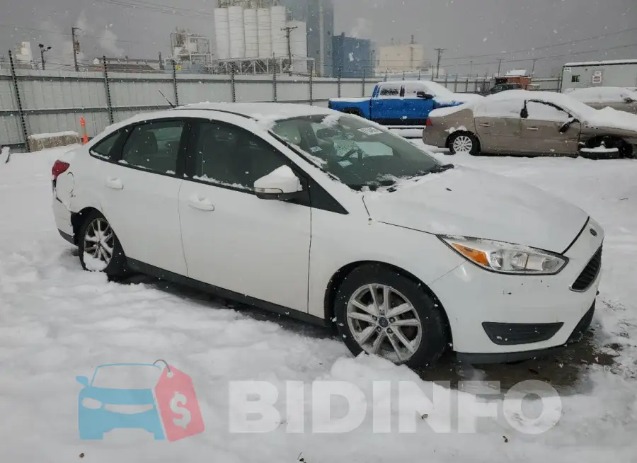 1FADP3F29GL405490 Photo# 4