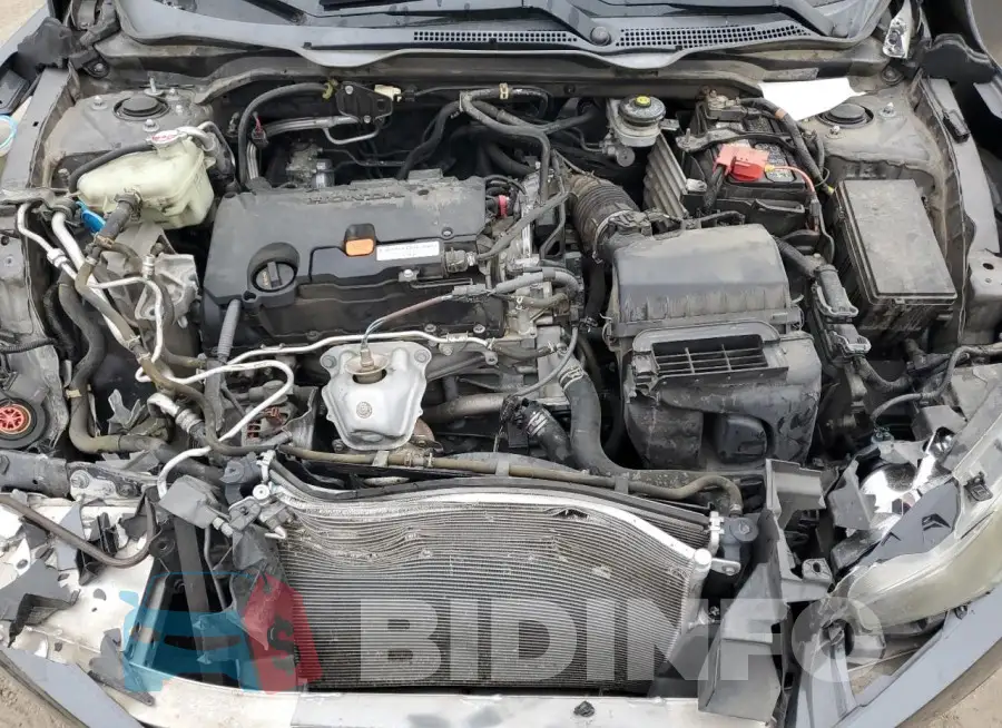 19XFC2F59GE069223 Photo# 11