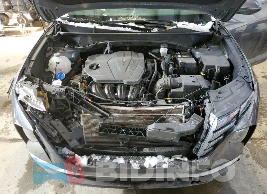 KM8JBCDE3RU329265 Photo# 12