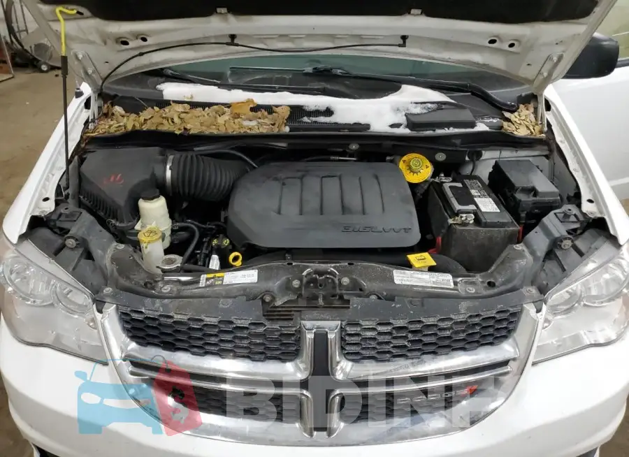 2C4RDGBG0LR196885 Photo# 12