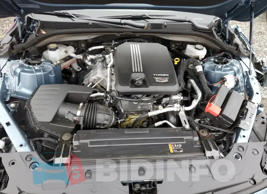 1G6DN5RK1R0119535 Photo# 11