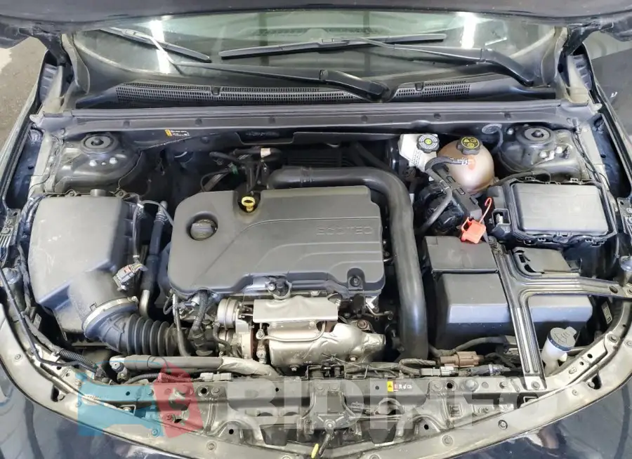 1G1ZD5ST2PF172630 Photo# 11