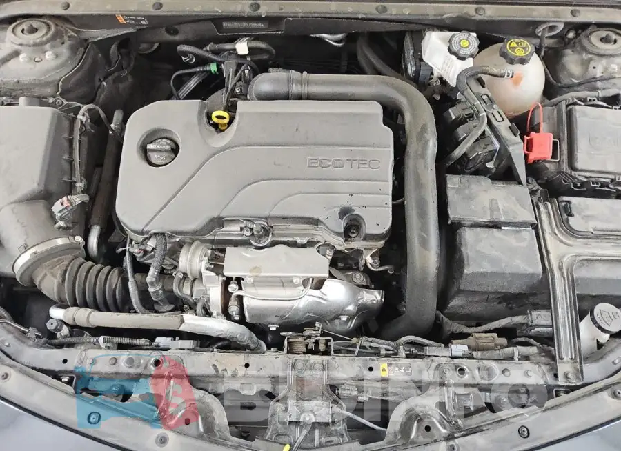 1G1ZD5ST9PF195614 Photo# 11