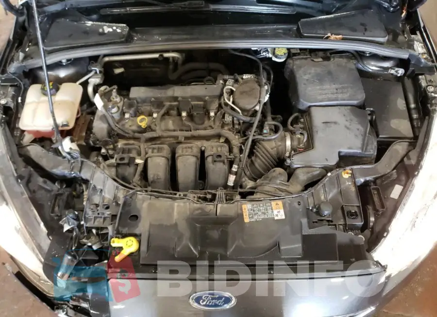 1FADP3F23GL279031 Photo# 11