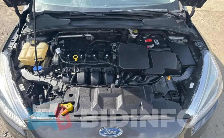 1FADP3F23GL296380 Photo# 7