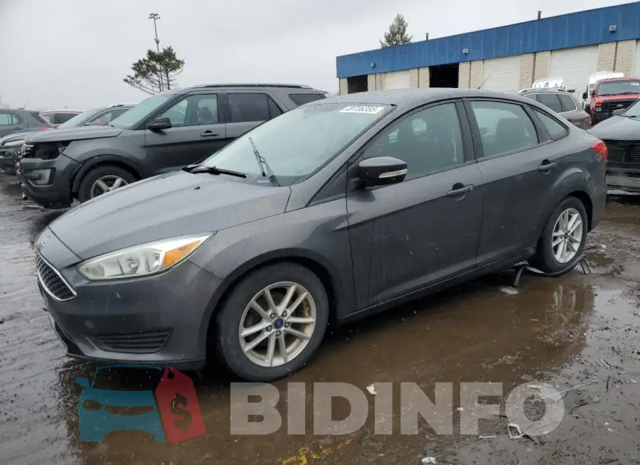 1FADP3F24HL283462 Photo# 1
