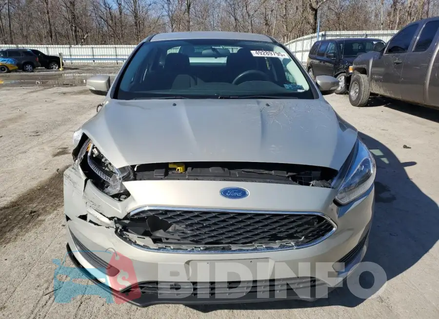 1FADP3F29GL251217 Photo# 5
