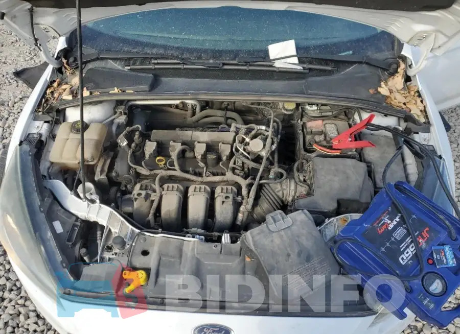 1FADP3F2XGL340116 Photo# 11