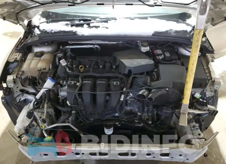 1FADP3N29HL306381 Photo# 11