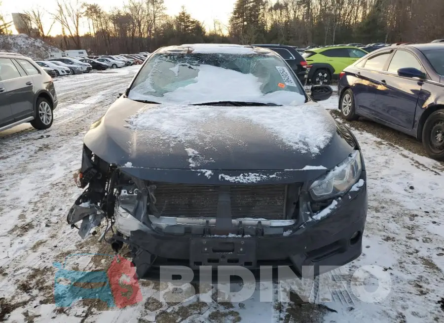 19XFC1F33GE217004 Photo# 5