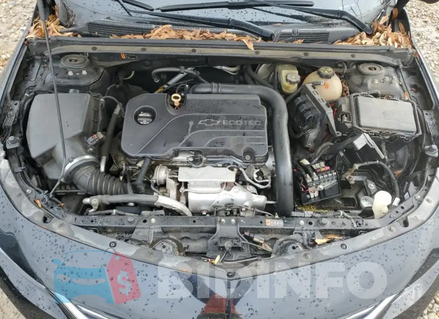 1G1ZB5ST4HF267598 Photo# 11