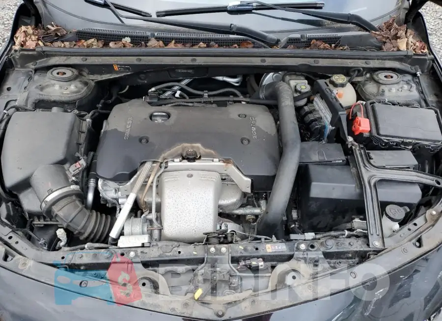 1G1ZH5SX3HF145817 Photo# 11