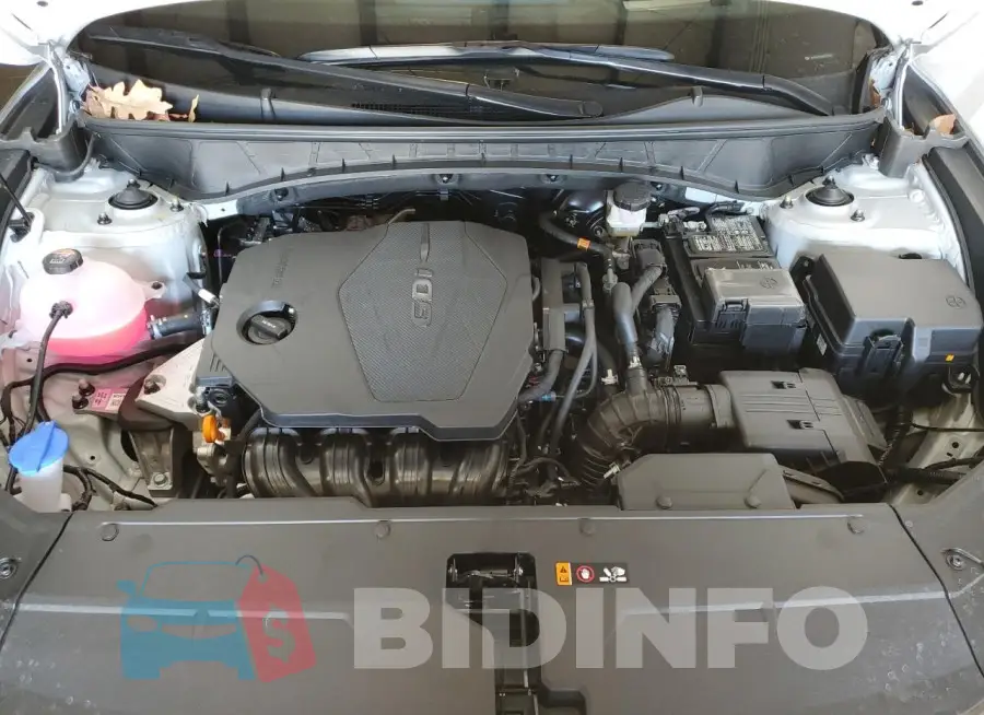 5NMJECDE4SH475053 Photo# 12