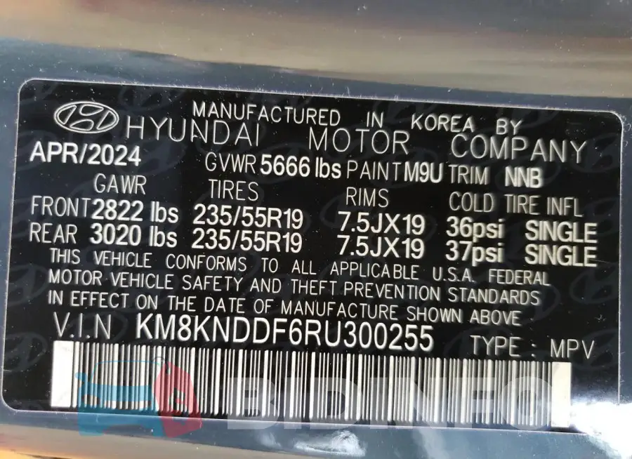 KM8KNDDF6RU300255 Photo# 14