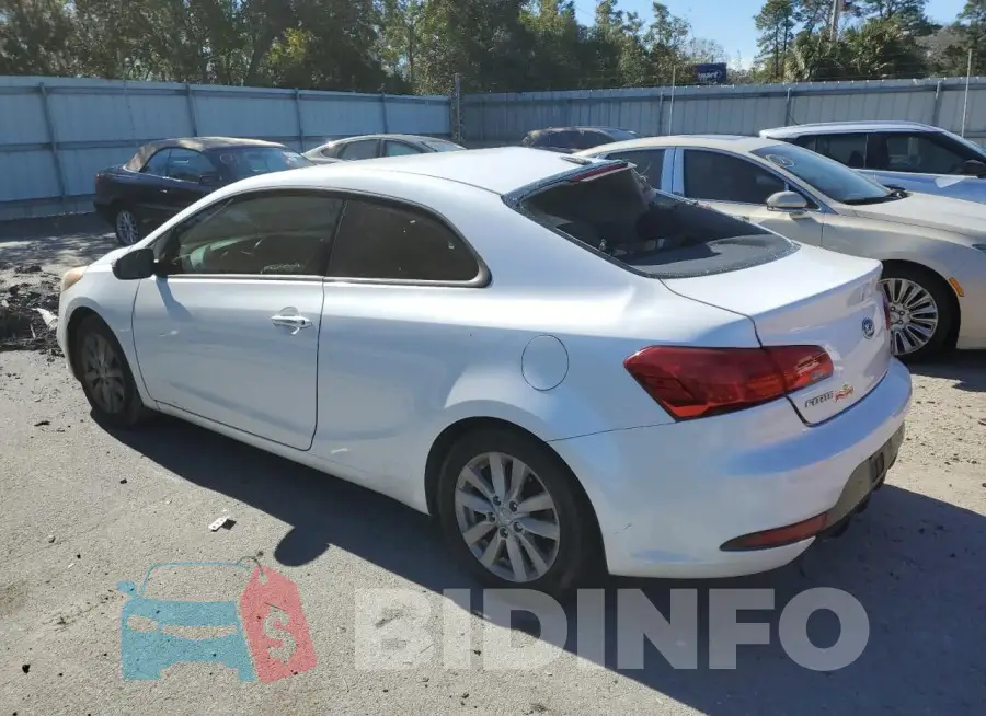 KNAFX6A81G5622467 Photo# 2