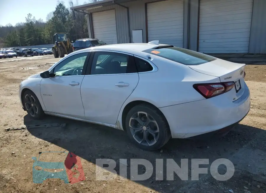 1G1ZD5ST5MF020238 Photo# 2