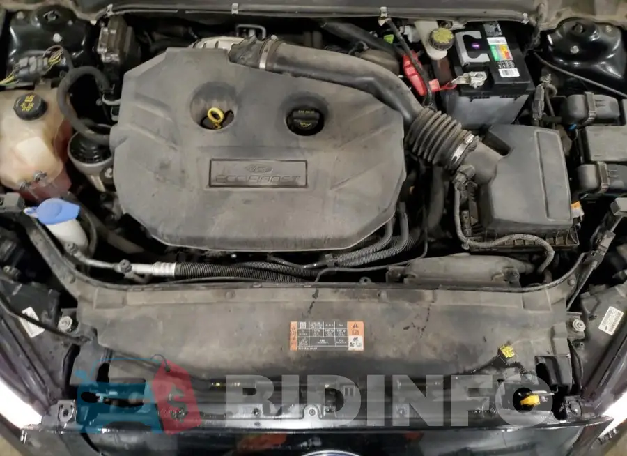 3FA6P0K95GR198706 Photo# 11