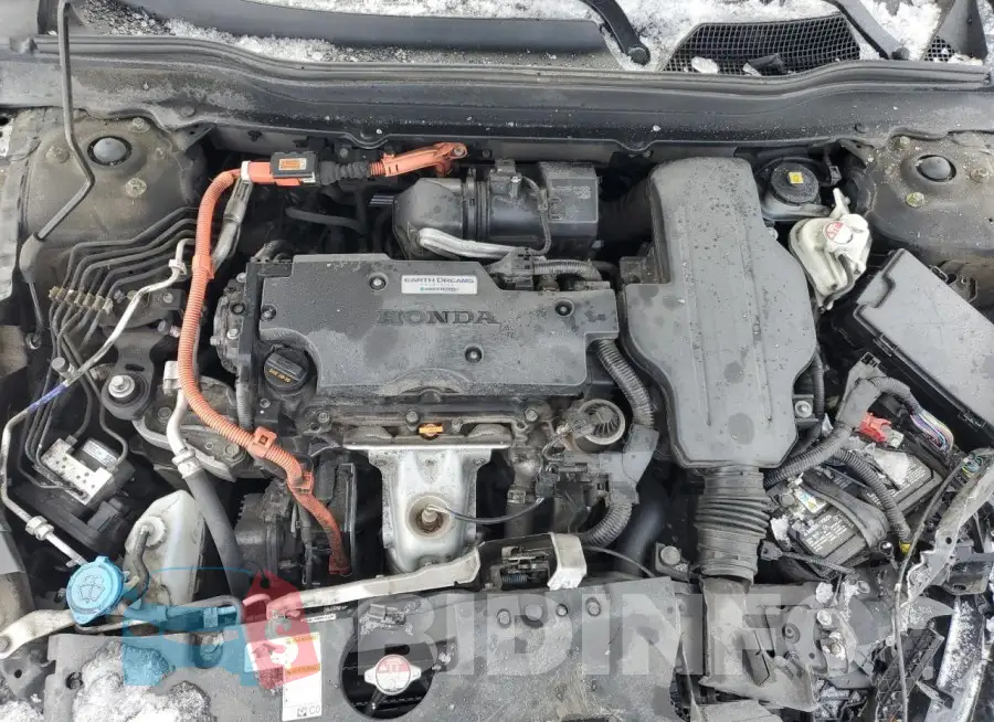 1HGCV3F71KA800681 Photo# 11