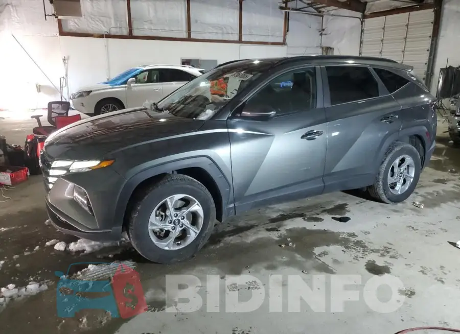 5NMJBCAE9PH266184 Photo# 1