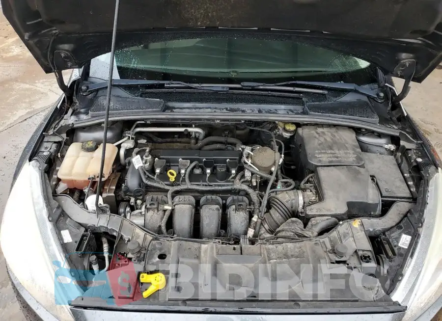 1FADP3F20GL261229 Photo# 11
