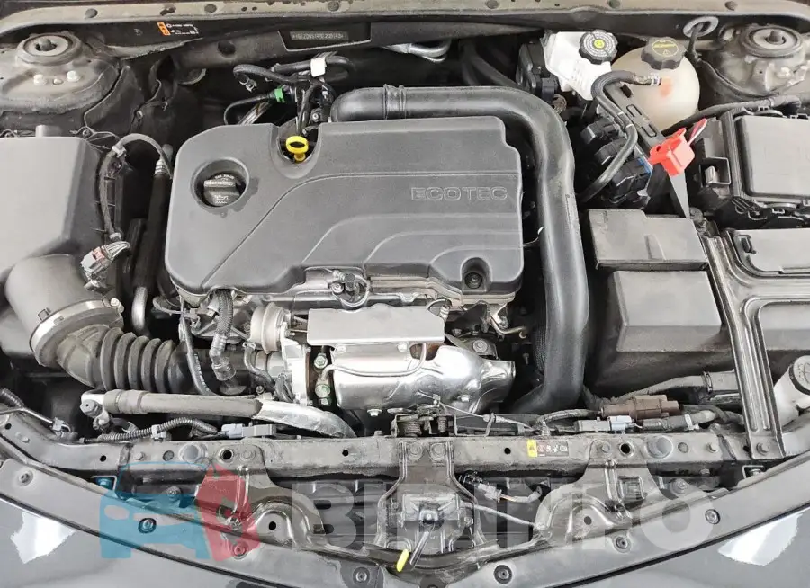 1G1ZD5ST4RF208143 Photo# 11