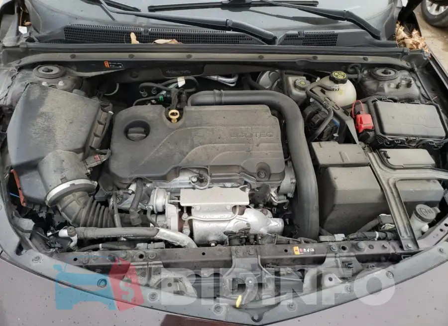 1G1ZD5ST7LF018974 Photo# 11