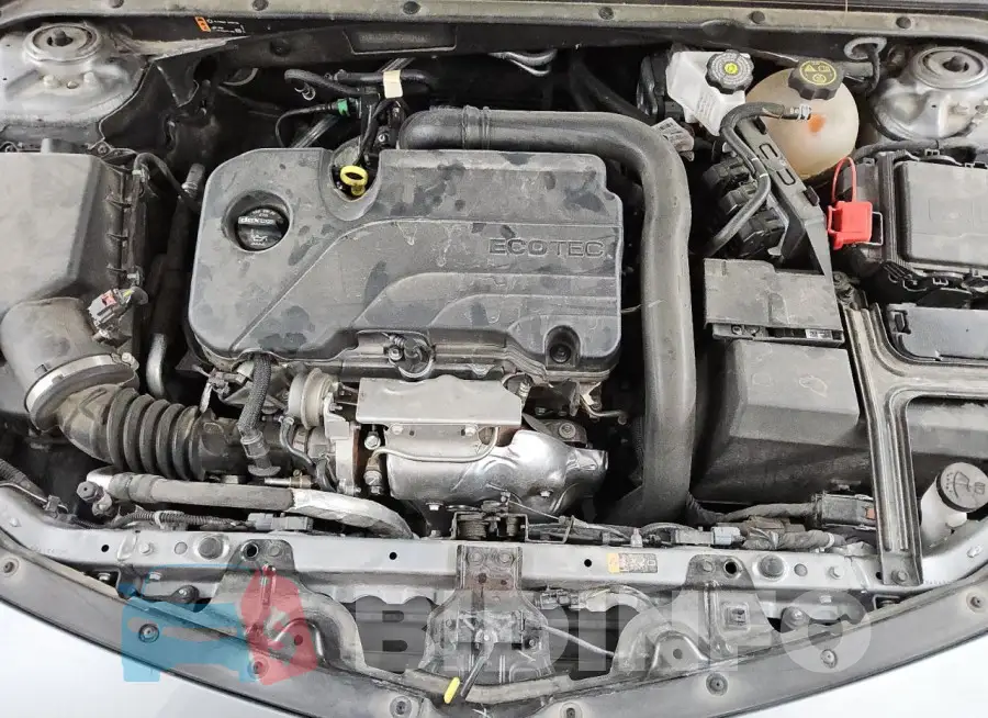 1G1ZD5STXPF226241 Photo# 11