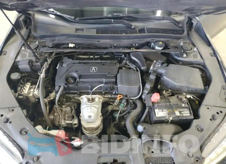 19UUB1F30GA006597 Photo# 11